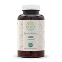 HerbEra Black Walnut USDA Organic 120 Capsules Silencio Natural Herbal Suplemento Silencio Certified Organic Vegetarian Capsules and Organic Black Walnut (Juglans Nigra) Dried Hull (120 capsules)