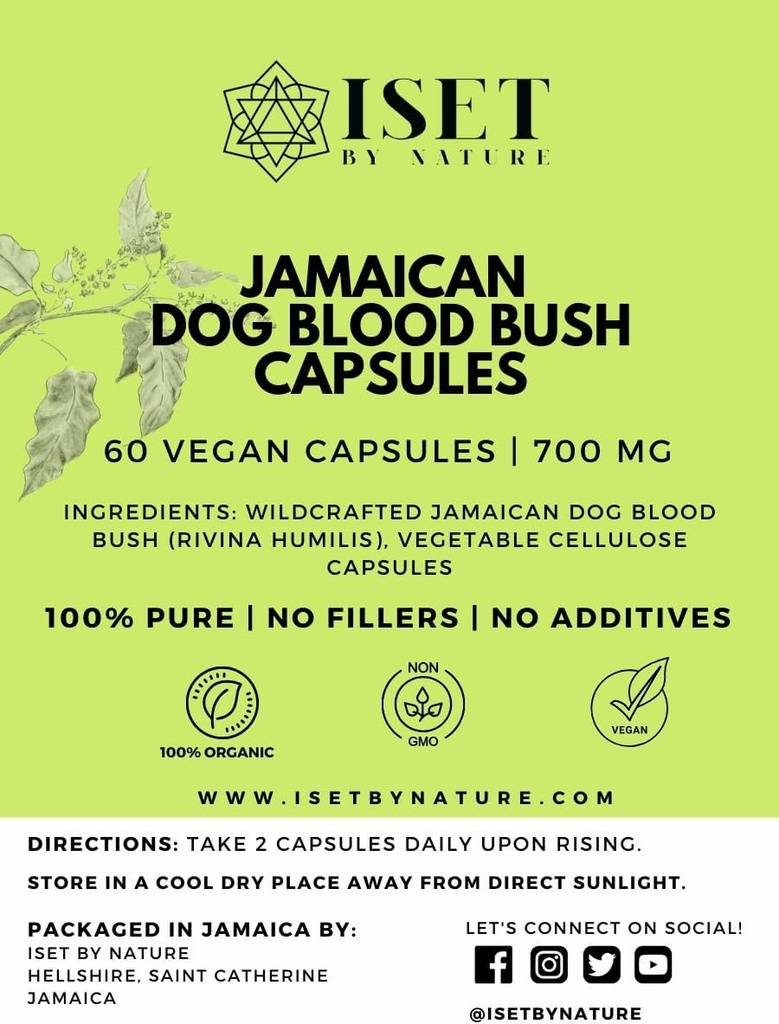Iset by Nature Jamaican Dog Blood Bush capsules 1400mg - Suplementos de fertilidad para las mujeres para apoyar equilibrio hormonal " Concepción, PCOS Relief with Organic Jamaican Dog Blood Herb - 60 cápsulas, Vegan