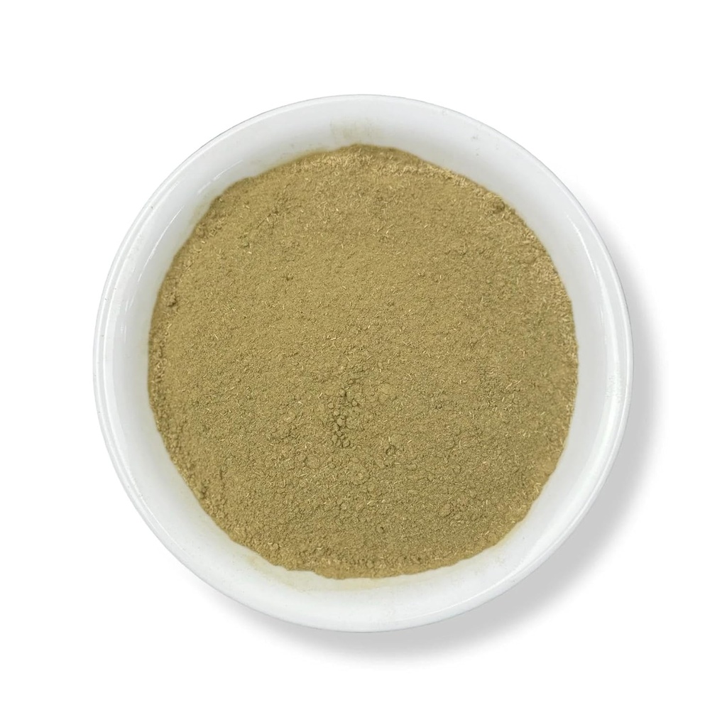 Herbs Evergreen Prodigiosa Powder 8 oz.