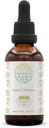 Ceylon Cinnamon B60 Extracto herbario libre de alcohol Tintura, gotas líquidas concentradas Canela natural (Cinnamomum Verum) (2 fl oz)