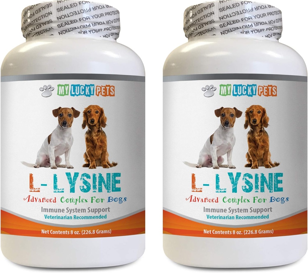 Bone and Joint Health for Dogs - Dog LYSINE Powder - Pure Powder Form - Immune System Support - Vet Recommended - lysine Bulk - 2 Bottle (16oz 453.6 Grams)