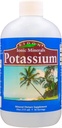Eidon Liquid Potassium Supplement - Potassium Chloride Drops, Essential Electrolyte for Cell Function, Bioavailable Ionic Minerals, All Natural, No-Preservatives or Additives - 18 oz