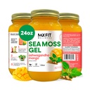 Sea Moss Gel Ashwagandha Mango (25 Sabores) 24oz Wildсrafted Gold Sea Moss Gel de Santa Lucía viv 92 Vitaminas y Minerales ← Pure Raw+Non-GMO