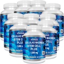 VITAMISAN 10 botellas Celulas Madres Stem Cell Plus cápsulas