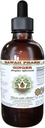 Extracto líquido libre de alcohol, jengibre orgánico (Zingiber officinale) raíz seca Glycerite Hawaii Pharm Natural Herbal Suplemento 2 oz