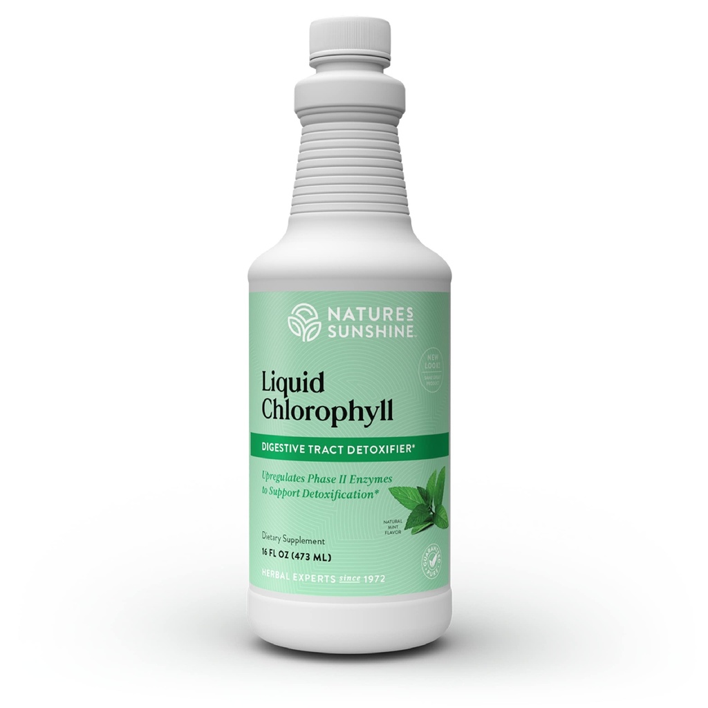 Sunshine Liquid Chlorophyll - Immunity Support, Detox &amp; Cleanse, Chlorophyll Liquid Drops with Spearmint Oil, Natural Energy Boost, Internal Deodorant - 16 Fl Oz