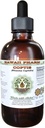 Coptis Extracto líquido libre de alcohol, Coptis (Rhizoma Coptidis) Ratón seco Glycerite Hawaii Pharm Natural Herbal Suplemento 2 oz