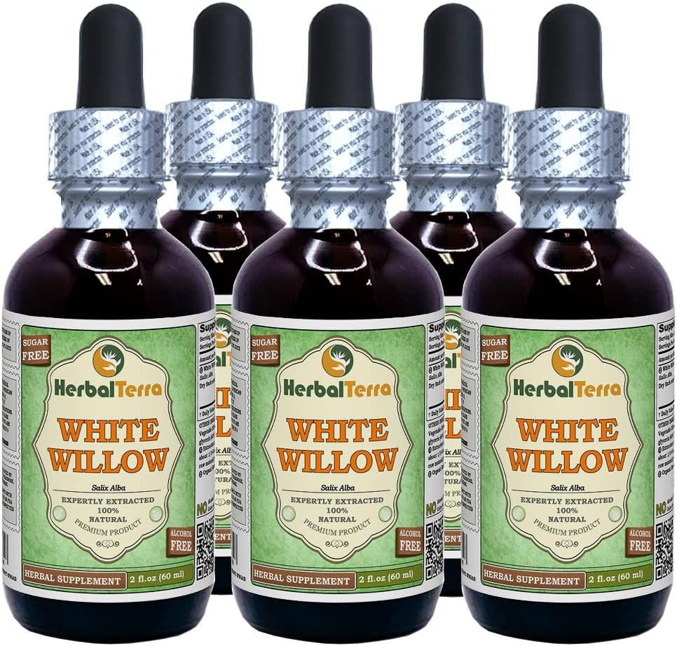 White Willow (Salix Alba) Glycerite, Organic Dried Bark Alcohol-FREE Liquid Extract (Marca: HerbalTerra, Proudly made in USA) 5x2 fl.oz (5x60 ml)