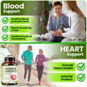 Suplemento de Apoyo a la Presión de Sangre de la Salud del Corazón - Apoyo a la Presión de Sangre " Circularidad Saludable Naturalmente con Hawthorn Berry " Hibiscus. Vitaminas Pills for Healthy Hypertension (BP) & Corazón saludable.