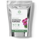 Organic Echinacea Purpurea 4 oz. (113g), USDA Certified Dried Echinacea Tea, Premium Quality Herb, Purple Coneflower, Cut & Sifted