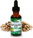 Respuesta de la naturaleza Astragalus Root Alcohol Suplemento herbal gratuito 1 onza ( 2 Pack ) ← Immune Support  Promueve la salud cardiovascular  durable Natural Stress Reliever