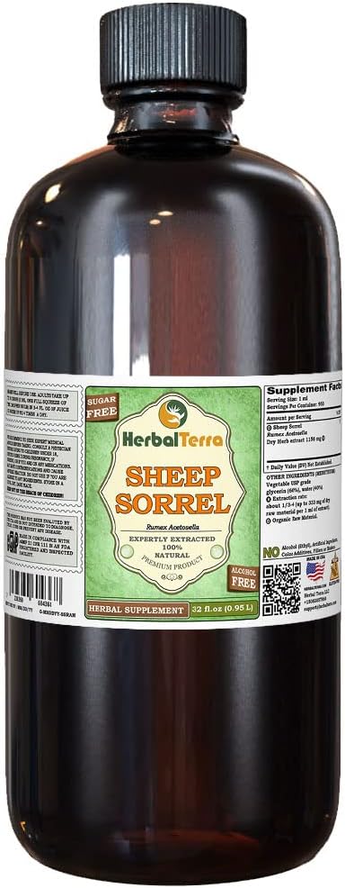 Sorrel de oveja (Rumex Acetosella) Glicérite, hierba seca orgánica extracto líquido libre de alcohol (Marca: HerbalTerra, Proudly Made in USA) 32 fl.oz (0.95 l)