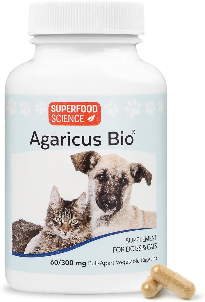 Agaricus Bio 300mg para Caninas y Felinos, Beta Glucan Mushroom Pet Suplemento para la Defensa Crítica de Inmunes Compuestos " Salud Celular, Antioxidante Polvo, Apoyo Energético para perros viejos y gatos, 60 caps