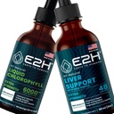 E2H: Liquid Chlorophyll and Liver Support Supplement TEN Vegan, Non-GMO - 2 Fl Oz Every (4 Fl Oz Total) - Bundle