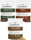 Mane Extract Powder (60g) de León Reishi 415 Extract Powder (45g) ¦ Turquía Tail Extract Powder (45g)