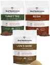 Mane Extract Powder (60g) de León Reishi 415 Extract Powder (45g) ¦ Turquía Tail Extract Powder (45g)
