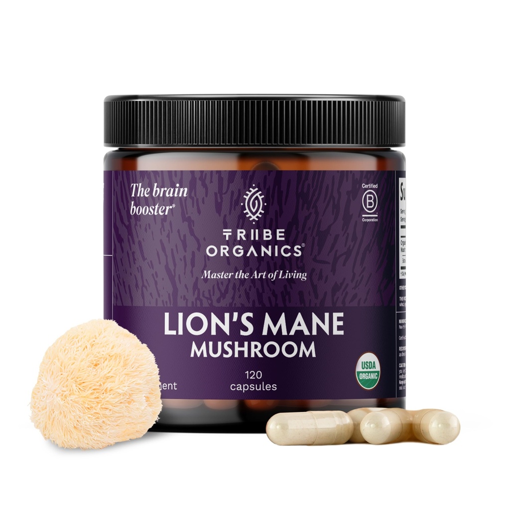 TRIBE ORGANICS El suplemento Mane de León 1000mg Mushroom Extract Powder - Immune System Booster & Brain Nootropic for Focus and Memory ← Mental Clarity ← Energía natural e inmunidad - 120 cápsulas Vegan
