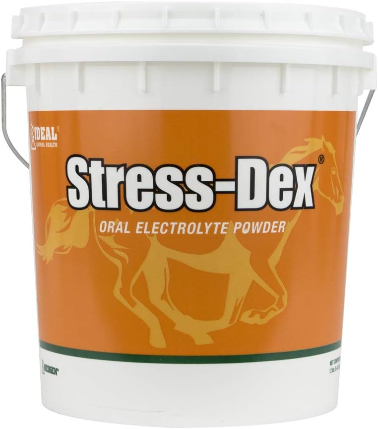 Stress-Dex 12lb, Orange