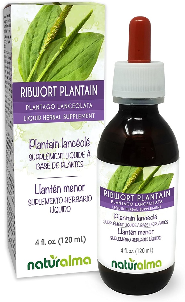 Naturalma Ribwort Plantain o Narrowleaft Plantain (Plantago lanceolata) Leaf Alcohol-Free Tintura - 4 fl oz Liquid Extract in Drops - Herbal Supplement - Vegan