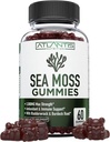 Irlandés Moss Gummies - 3000MG - Formulado w / Moss del Mar Irlandés, Fledderwrack " Burdock Root, Contain Essential Vitamin " Mineral - Antioxidant-Rich Superfood Supplement, 60 Sea Moss Gummies for Adults
