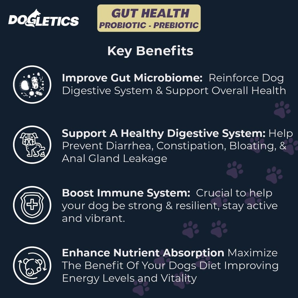 Gut Health Probiotic & Prebiotic - 90ct Soporte Microbioma de estómago, Prevenir Problemas Digestivos, Reducir Problemas de Gland Anal, Mejorar la Función Inmunitaria y Energía Global