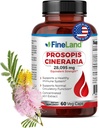 FineLand Prosopis Cineraria 40:1 Extracto – 28.000 mg Max Strength – Full Spectrum – Apoya el colesterol, la circulación y la salud Arterial – No GMO, Gluten Free – 60 cápsulas Vegan