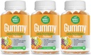 Vitaminas para niños - Esenciales diarios completos Niños multivitamínicos y minerales para el bienestar general, 90 Gummies Suplementos Sabor de frutas, No azúcar artificial, lácteo y gluten Gratis (3)