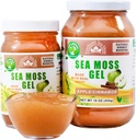 Wildcrafted Irish Sea Moss Gel Silencioso Hecho en EE.UU.   Rich in Vitamins & Minerals Silencio Sea Moss Gel Raw ← Suplemento Nutricional  Apple (16 oz)