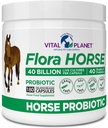 Planeta Vital - Flora Horse Probiotic, High Potency Equine Probiotics with Prebiotics, 40 Billion Live CFU from Multiple Strains, Digestive and Immune Support, 180 Delayed Release Capsules (180 Days)