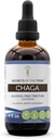 Secretos de la Tribe Chaga Tincture Extracto sin alcohol, Chaga Wildcrafted (Inonotus obliquus) Secado Salón entero (4 FL OZ)