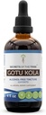 Secretos de la Tribu Gotu Kola Tincture Extracto líquido libre de alcohol, Gotu Kola (Centella Asiatica) Herb seco (4 Fl Oz)