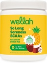 Wellah So Long Soreness BCAA Powder (Pina Colada Flavored) 30 Servings - with Hydration Complex