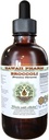 Extracto líquido libre de alcohol, Broccoli orgánico (Brassica Oleracea) Seed Glycerite Hawaii Pharm Natural Herbal Suplemento 2 oz