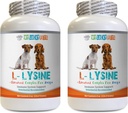 Trucos para perros - Pólvora para perros LYSINE - Formulario de pólvora puro - Soporte para el sistema inmunitario - Vet Recomendado - lisina para perros - 2 Botella (16oz 453.6 Grams)