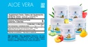 Sí Usted puede! Detox Plus Kit (Reemplazo de comida Dulce de Leche, Aloe Vera Pineapple) - Reemplazo completo de la comida Polvo, Booster de alta energía Shake, Aloe Vera Detox Suplemento, Transformación de la Salud