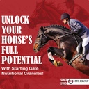 SBS Equine Start Gate Granules - Horse Stomach Ulcer Treatment & Ulcer Relief, Horse Supplement Formula Scoop for Feed, Perfect Prep as a Hoof Supplement (5 Gallon)