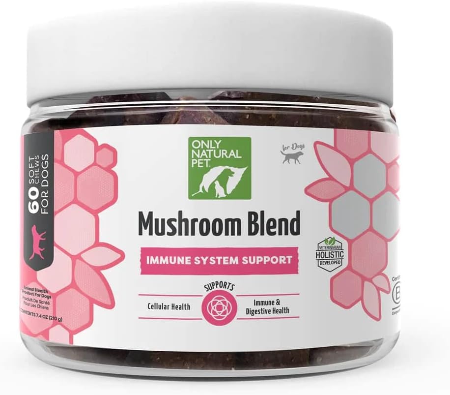 Solo Natural Mascotas Mascotas Blend Sistema de Soporte Complemento para Perros - Boost Celular saludable, Digestivo, " Función del hígado - Multivitamina Beta-Glucan " Antioxidante - Bacon Flavor 60 Mandíbulas suaves