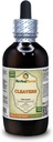 Cleavers (Galium Aparine) Tincture, Orgánica Seca Piezas arriba-profundas Extracto líquido (Marca Marca: HerbalTerra, Proudly Made in USA) 4 fl.oz (120 ml)
