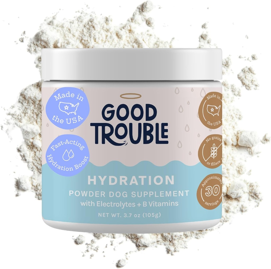 Beef-Flavored Dog Hydration Powder by Good Trouble Pets - Electrolytes for Dogs' Recovery & Endurance - B Vitamins for Vitality - Easy Scoop Serving - USA Made - cGMP-Certified - 30 Servings