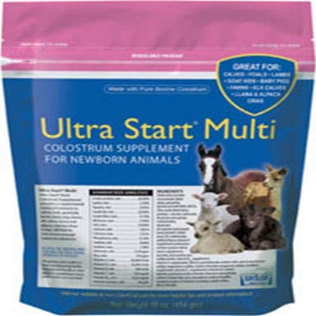 Suplemento de Colostrum para Caballo
