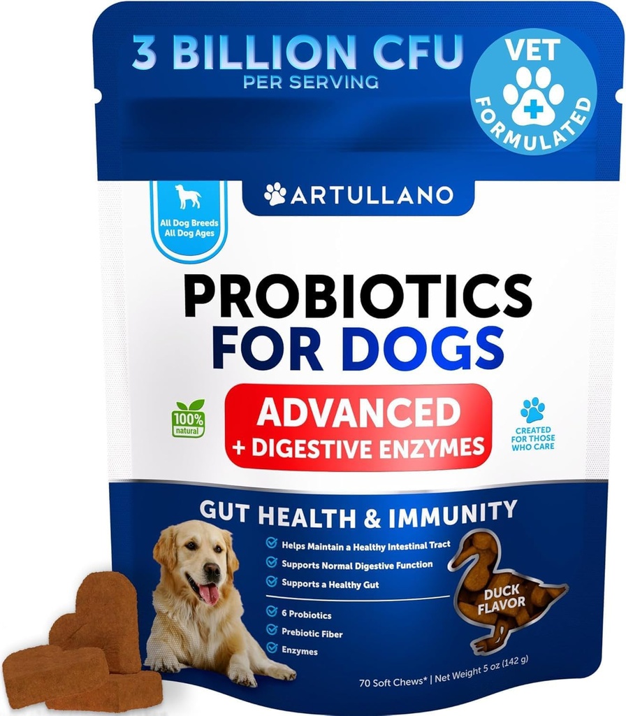 Probióticos para perros - Asistencia Gut Health, Itchy Skin, Alergías, Inmunity, Yeast Balance - Probióticos para perros y enzimas digestivas con prebióticos - Reducir la diarrea, Gas - 70 Chews probióticos para perros