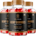 (3 Pack) Botas de bienaventuras Gummies 300 mg por Gummy, BlissRoots Gummies, Bliss Roots, Bliss Roots Gummy, Bliss Roots Gummies, Bliss Orgánica Gotas, Bliss Suplemento Gummy, 90 Gummies 3 meses