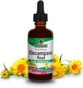 Respuesta de la naturaleza Elecampane Root 2 oz. Bajo alcohol orgánico 2000mg - Suplemento Herbal - No GMO &amp; Kosher - Bajo alcohol Gluten libre 100% Vegan - 2 FL Oz