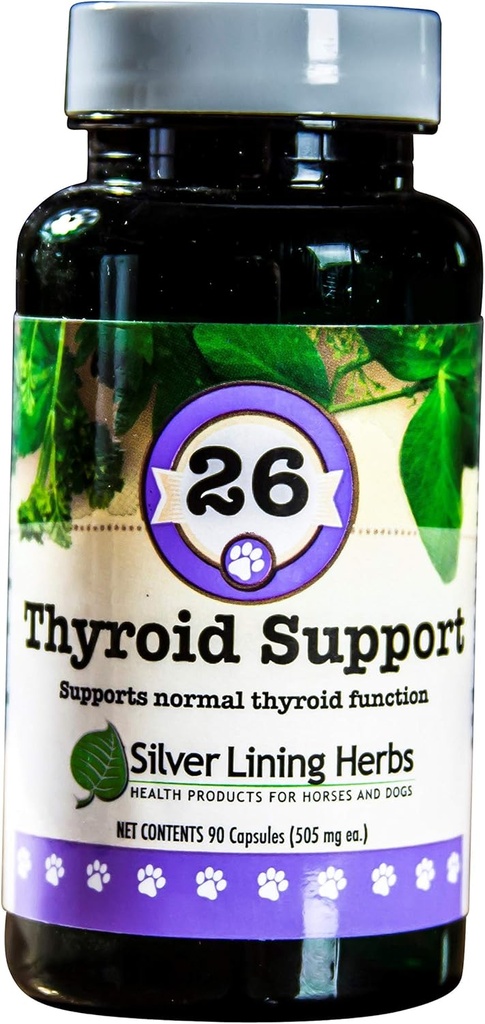 Soporte de tiroides para perros - Suplemento herbal natural para ayudar a mantener la función tiroidea saludable, respiración " Peso - 90 cápsulas