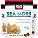 FORCE FACTOR Sea Moss Soft Chews, Support Immunity, Digestion, and Heart Health, Irish Sea Moss Superfood & Antioxidants Suplemento, Non-GMO, Gluten-Free, Salted Caramel Flavor, 90 Soft Chews, 3-Pack