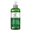 Thyme Out All Natural Eczema Treatment- Psoriasis Treatment - an All-in-One Solution for Acne, Dermatitis, Rosacea, Cold Sores, Bites, Poison Ivy - Anti-Itch Spray for Itchy Skin Relief 4oz
