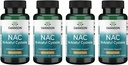 Swanson NAC - N-Acetil Cysteine - Suplemento 600 mg 100 cápsulas (4 paquete)