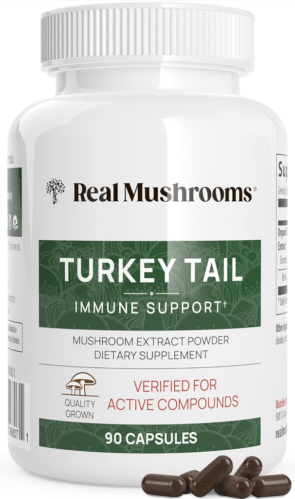 Mushrooms reales Turquía Tail Capsules – Extracto orgánico de hongos para el bienestar & Daily Rhythm – Vegan, No GMO, No Fillers Turquía Tail Extract – 90 Conde Mushroom Suplemento