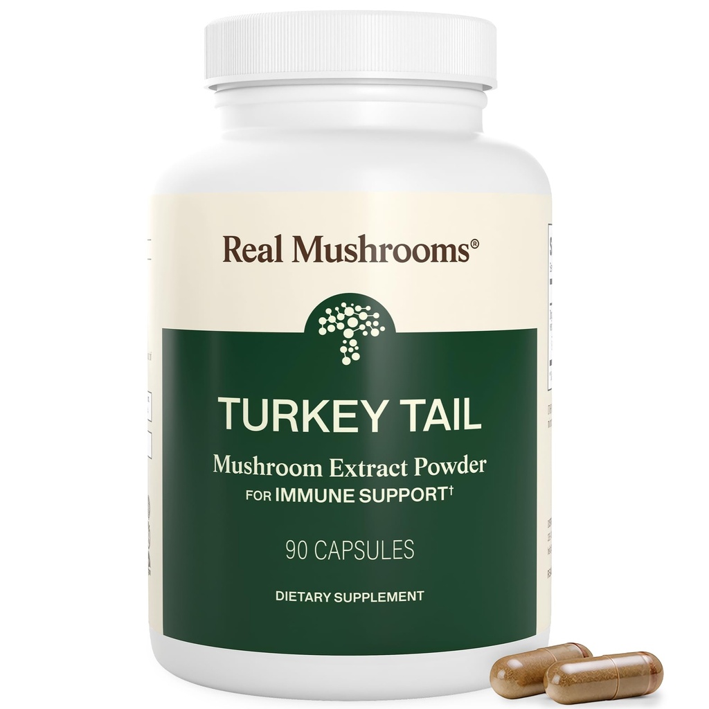 Mushrooms reales Turquía Tail Capsules – Extracto orgánico de hongos para el bienestar & Daily Rhythm – Vegan, No GMO, No Fillers Turquía Tail Extract – 90 Conde Mushroom Suplemento