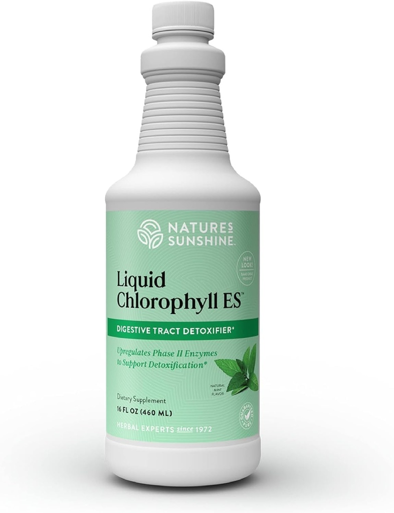 Sunshine Liquid Chlorophyll Extra Strength - Immunity Support, Detox &amp; Cleanse, Chlorophyll Liquid Drops with Spearmint Oil, Natural Energy Boost, Internal Deodorant - 16 Fl Oz